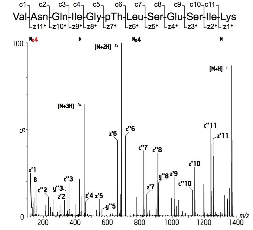 Electron transfer dissociation spectrum of the phosphopepitde VNQIG(pT)LSESIK