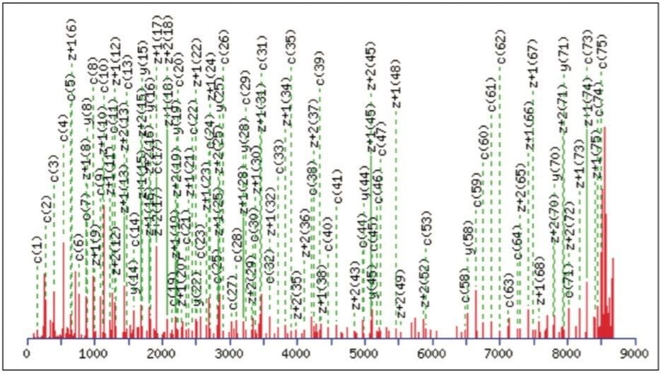 A MASCOT searched and annotated deconvoluted electron transfer dissociation spectrum of bovine ubiquitin