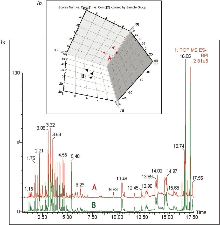 Base peak ion chromatograms 