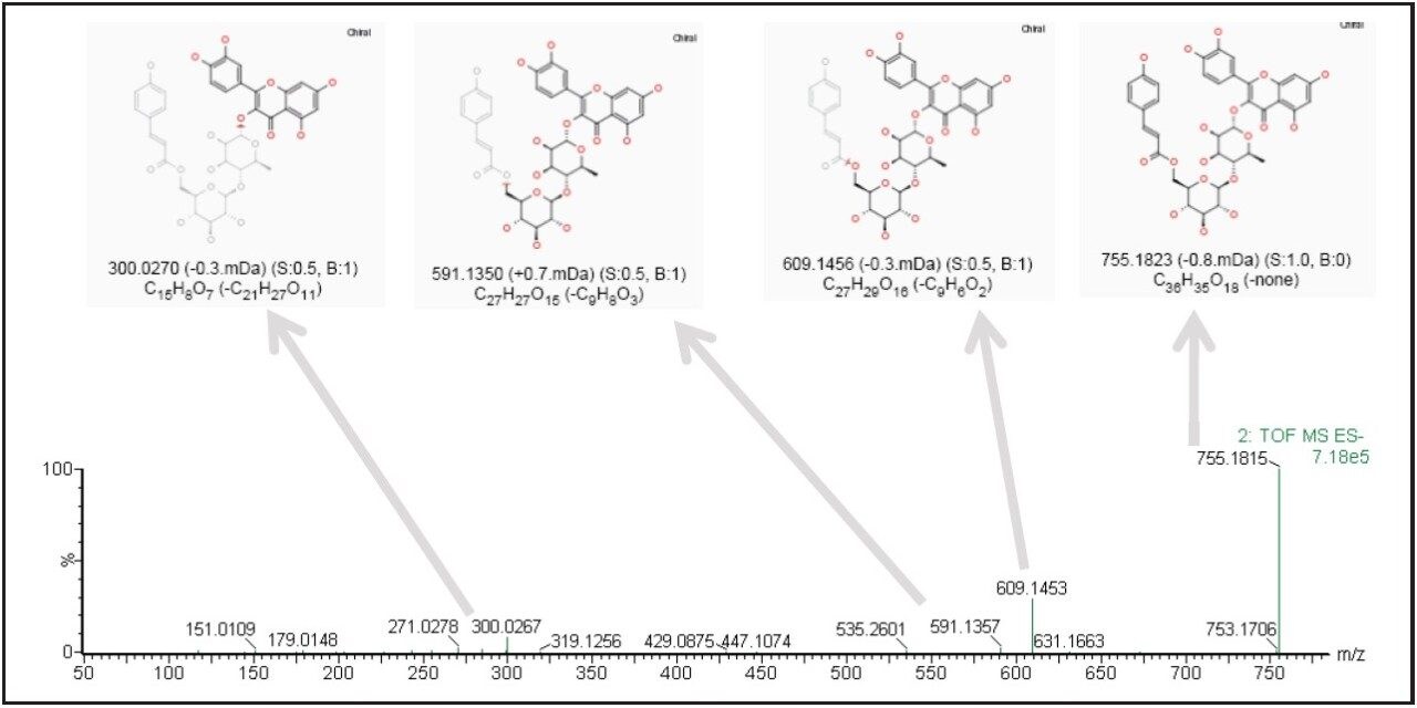 Structural elucidation for fragment ions