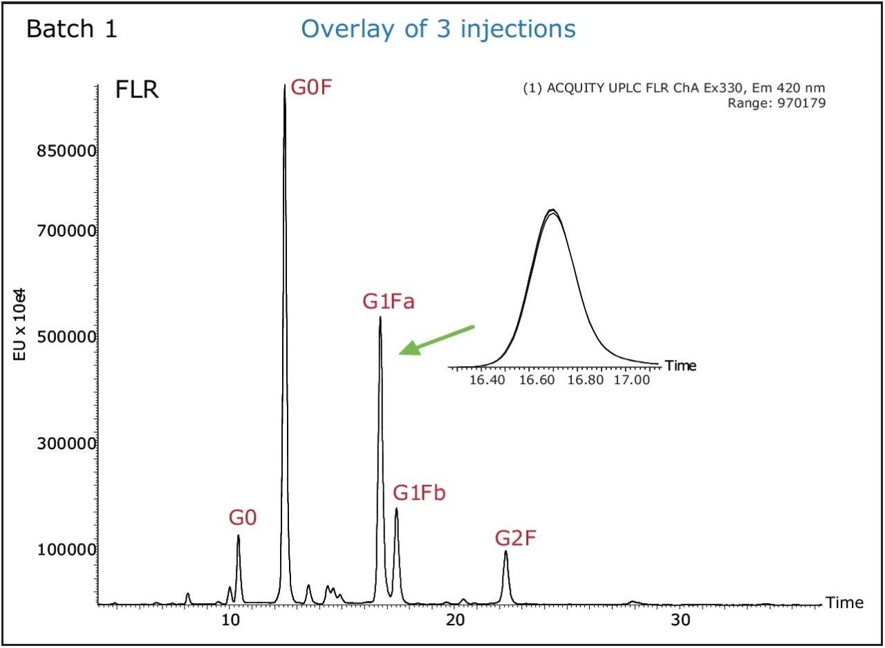  UPLC/FLR chromatograms of triplicate injections of 2-AB labeled glycans 