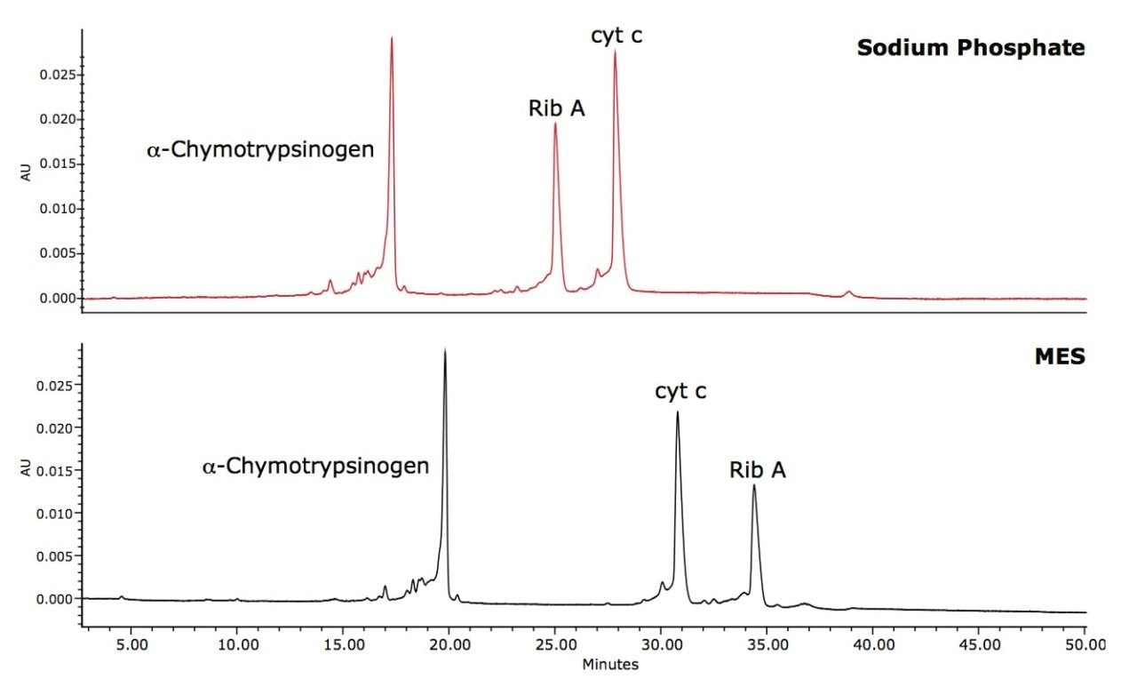 Effect of buffer composition on the IEX separation of proteins