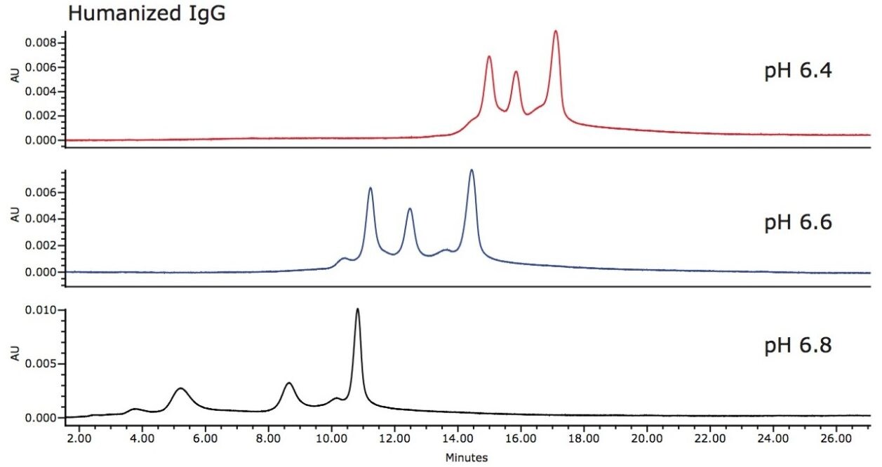 Effect of pH on IEX separation of humanized IgG.  Sample: Humanized IgG, 1.5 mg/mL.  Column: Protein-Pak Hi Res CM 7-µm, 4.6 x 100 mm.  Conditions: 20 mM Sodium Phosphate, 0.5 mL/min, 0 to 0.1 M NaCl in 40 min at 30 °C.