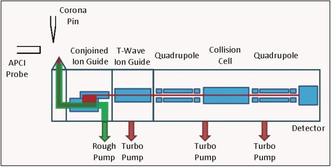 A schematic of the tandem quadrupole MS system