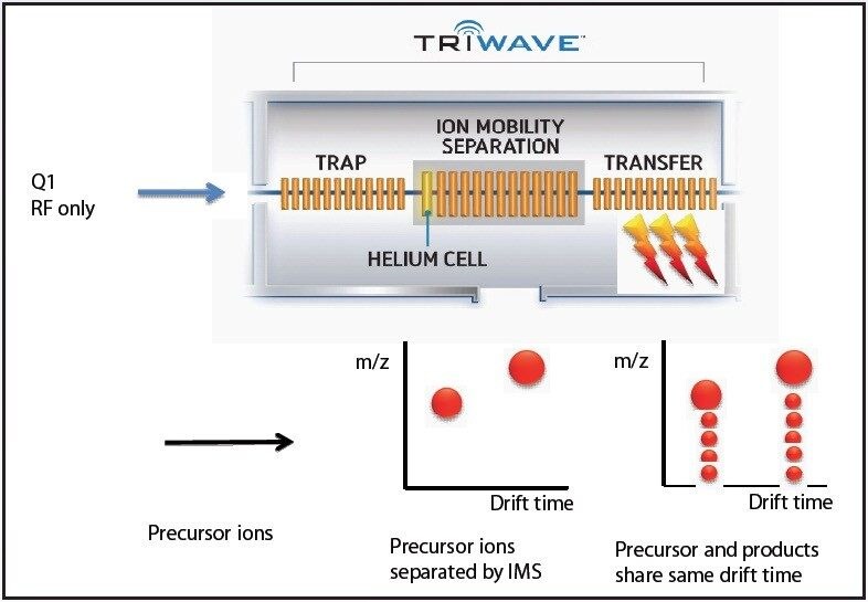 Ions pass from the quadrupole into the Triwave module without mass selection