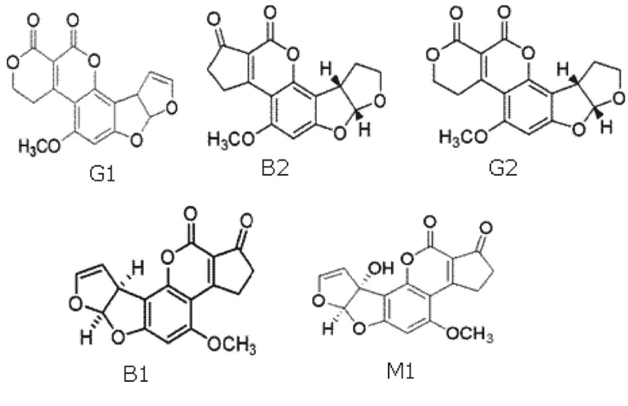 Aflatoxin chemical structures.