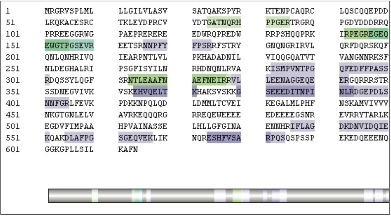 Peptide coverage observed for the raw peanut sample in matrix