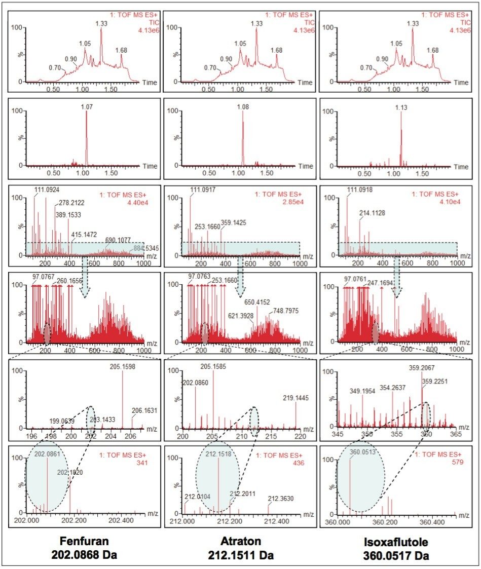 Examples of a single MS scan