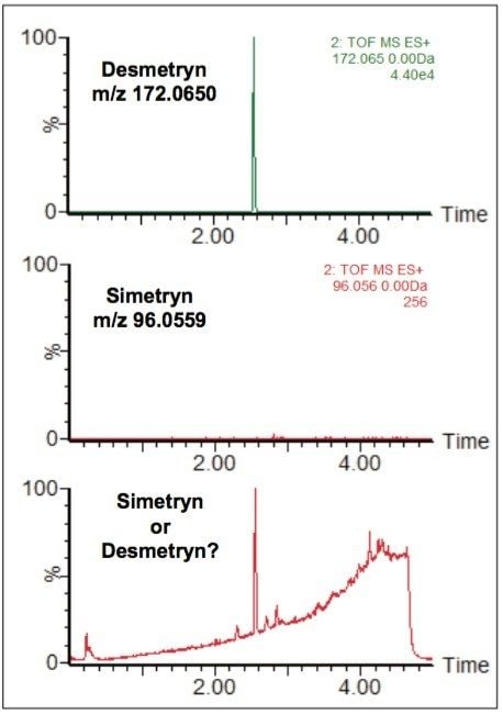 MSE fragment ion data