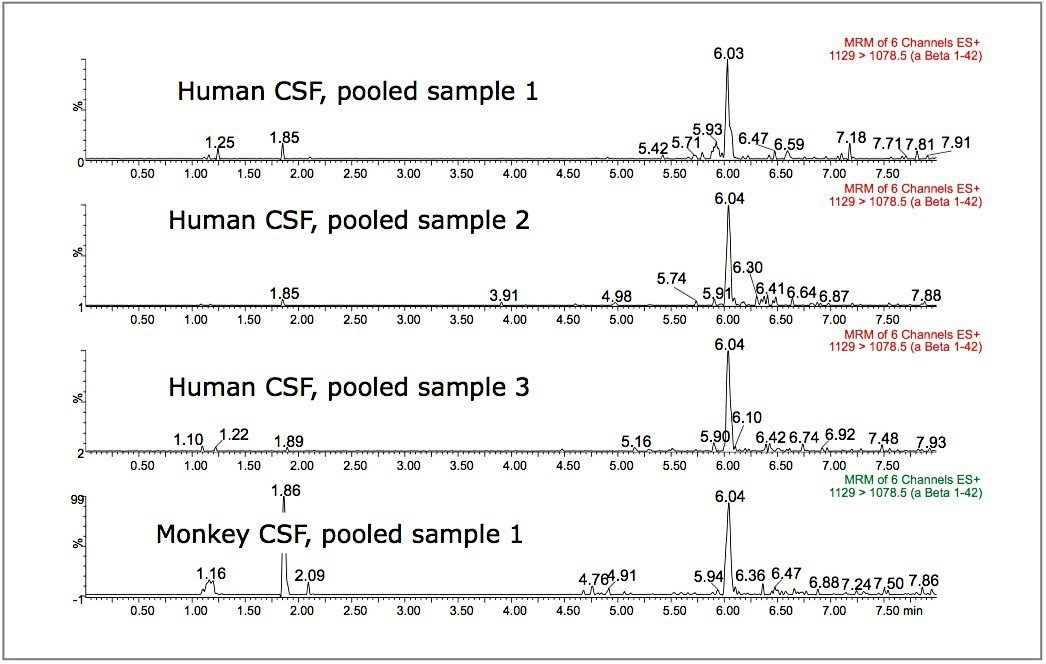  Representative chromatogram showing basal levels of amyloid β1-42