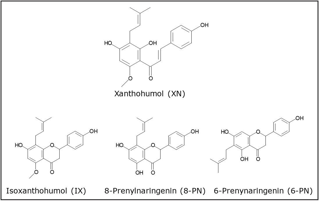 Major prenylated flavonoids from Hops