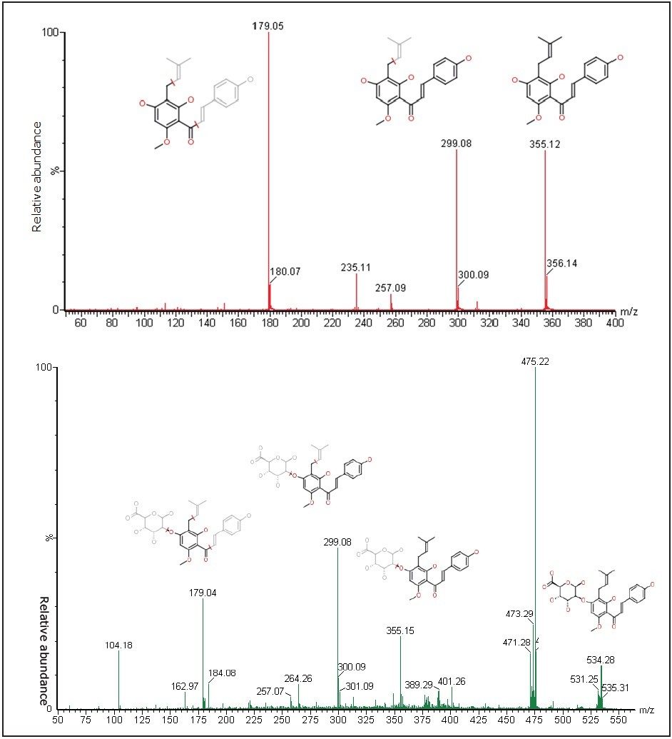 MALDI positive MS/MS spectra