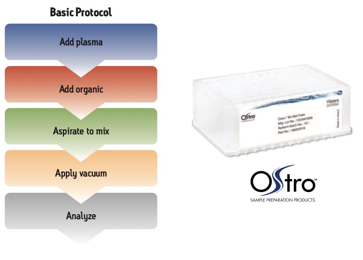 Basic Protocol