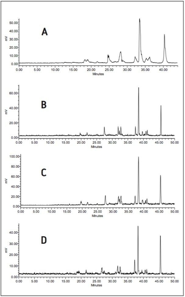 Radio-HPLC analysis.