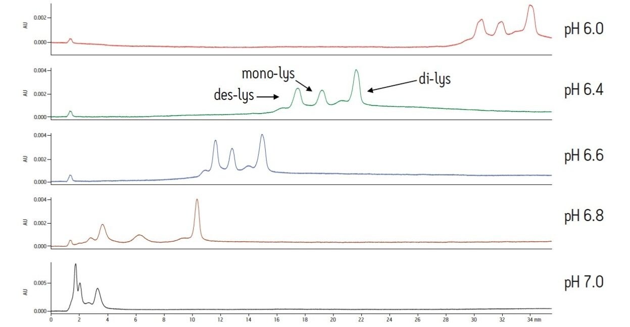 Analysis of a chimeric antibody and its truncated C-terminal lysine variants on a Protein-Pak Hi Res CM column with sodium phosphate buffer. Separations were performed over a pH range of 6.0-7.0 using Auto•Blend Plus Technology.