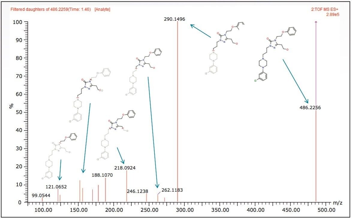 MSE fragment ion spectra.