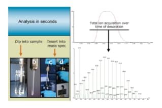 Rapid Polymer Analysis with Atmospheric Solids Analysis Probe/Mass ...