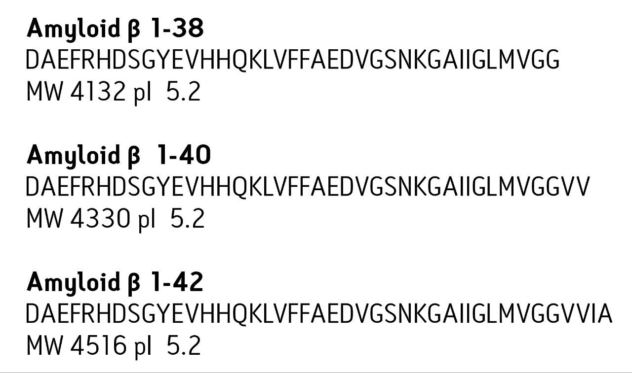 Sequence, MW, and pI information for amyloid β peptides