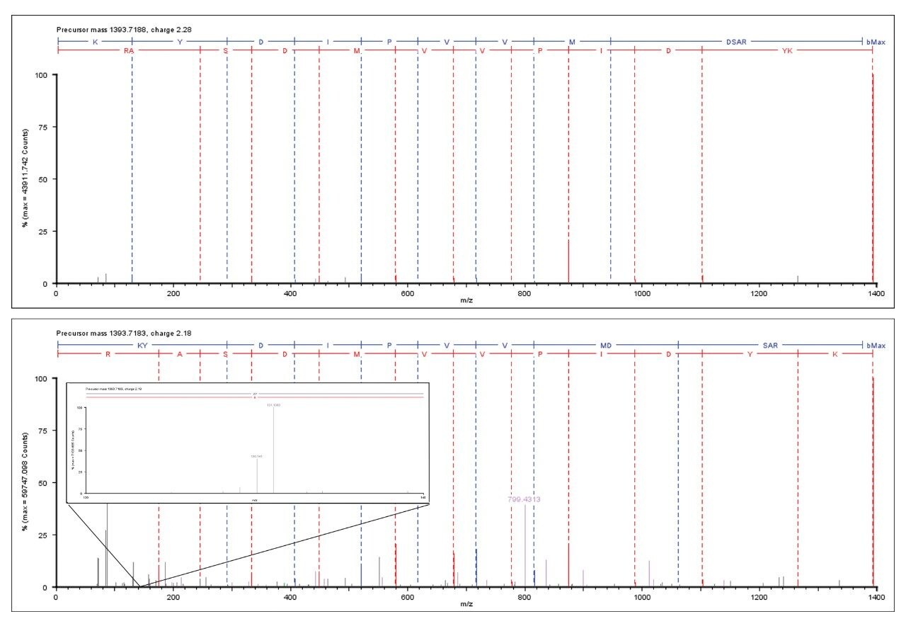 Data independent Escherichia coli fragment ion spectrum of KYDIPVVMDSAR – Tryptophanase with (top) en without (bottom) mobility separation and TMT set as a variable modification. Color annotation fragment ion: blue = b ion, red = y” ion, magenta = fragment ion co-eluting peptide and grey = non-identified/assigned fragment ion.
