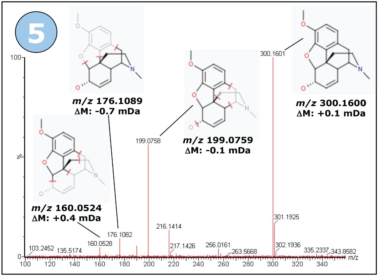 MSE high energy fragment ion spectrum for the codeine ion m/z 300, with proposed fragment ion structures taken from the MassFragment report.