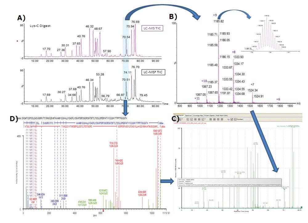 Identification procedure of disulfide linkage 1:K1–1:K4. A) UPLC/MS chromatograms showing the elution time of the linkage; B) MS spectrum; C) BiopharmaLynx interpretation and annotation; D) MSE spectrum.