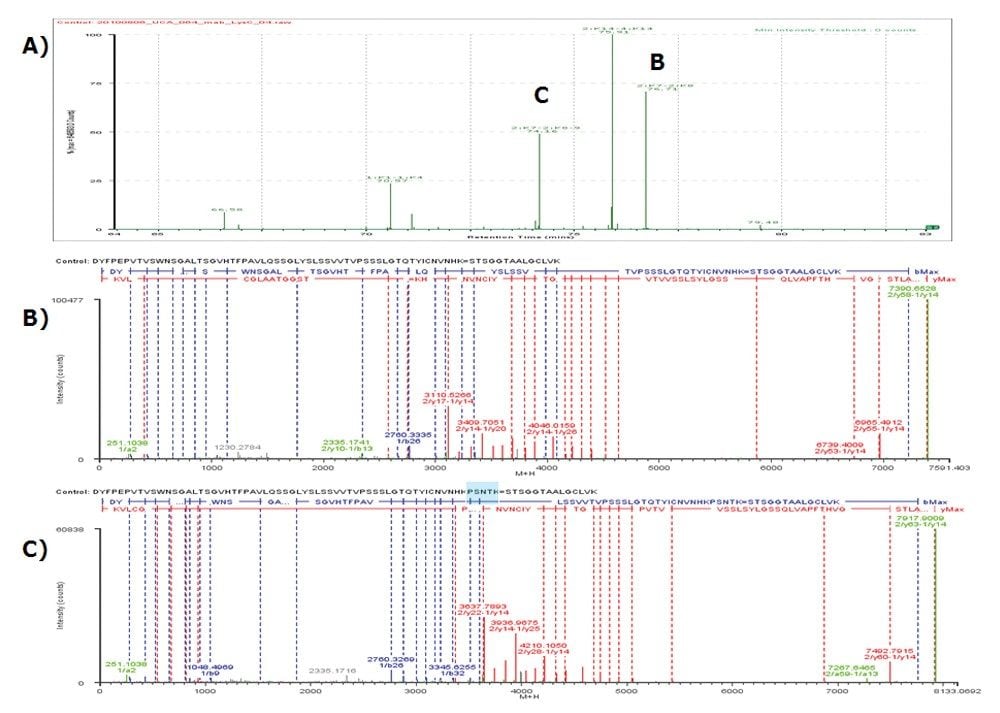 Identification and confirmation of disulfide linkages 2:K7–2:K8 and 2:K7–2:K8-9. A) BiopharmaLynx interpretation and annotation; B) MSE spectrum of 2:K7-2:k8; C) MSE spectrum of 2:K7–2:K8-9.