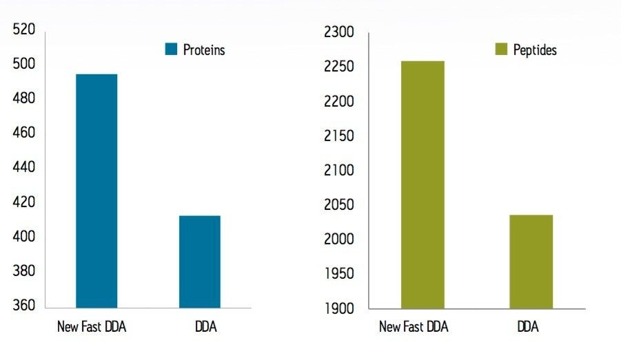 Summary of results at the protein and peptide levels 