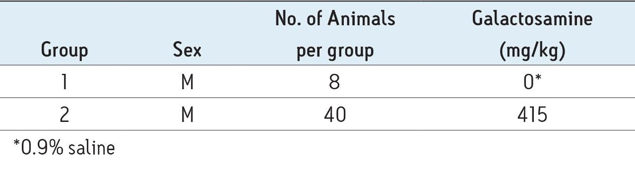 Animal and treatment details