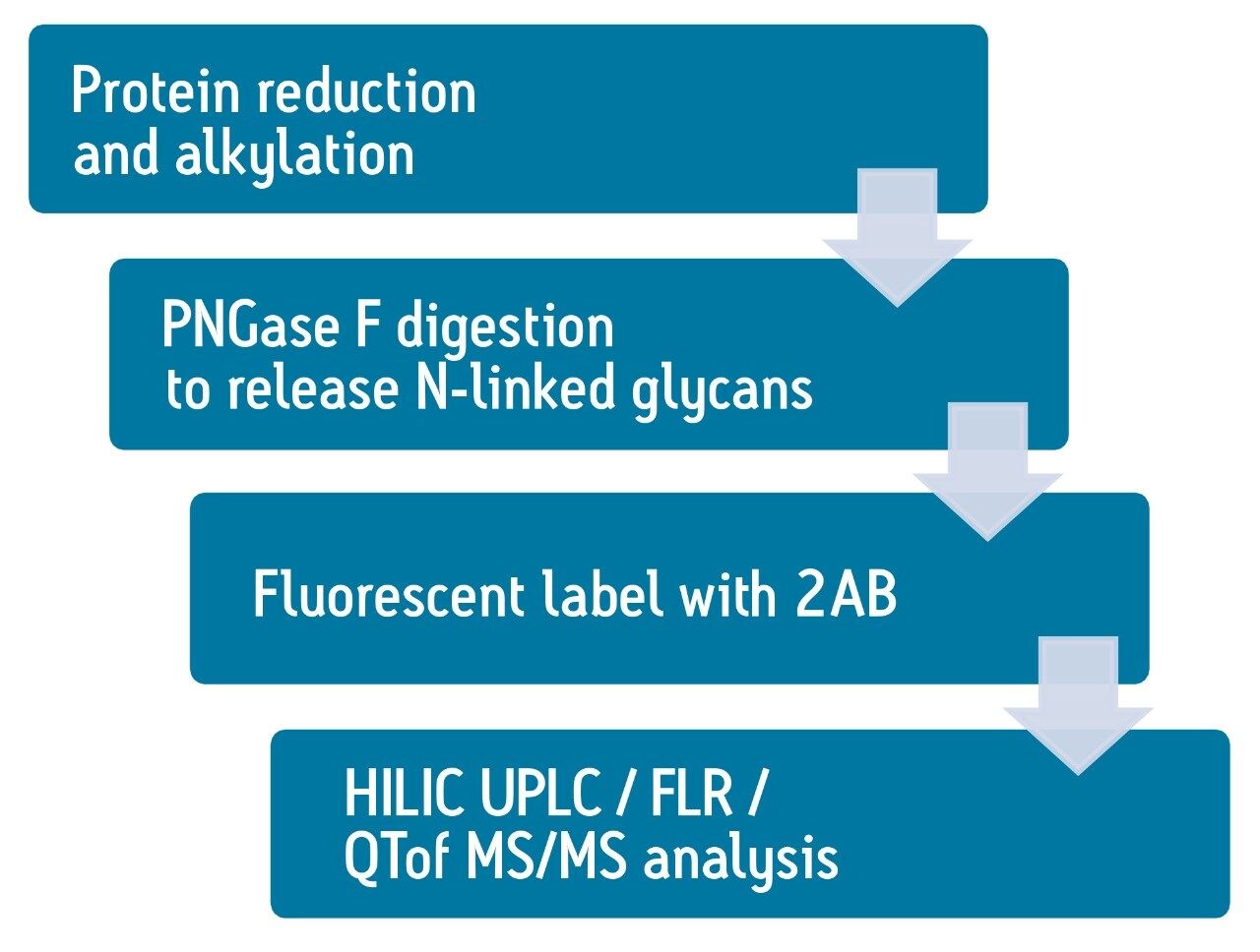 Glycan analysis workflow