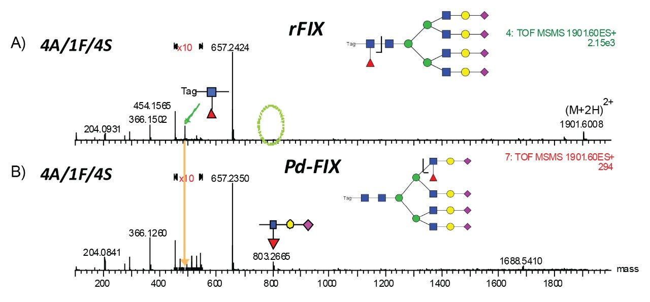 Differences in fucosylation were observed for rFIX and pd-FIX