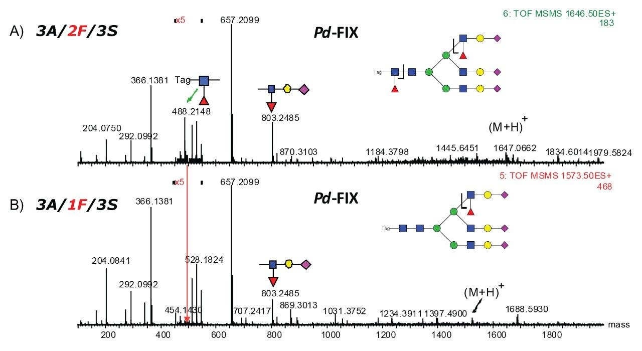 Some doubly fucosylated glycans were observed for pd-FIX sample