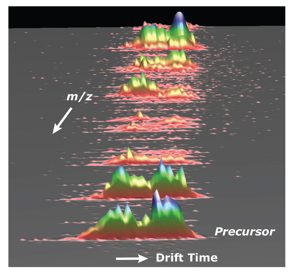 Three-dimensional representation of data for isobaric carbohydrate precursor ions and their fragment ions
