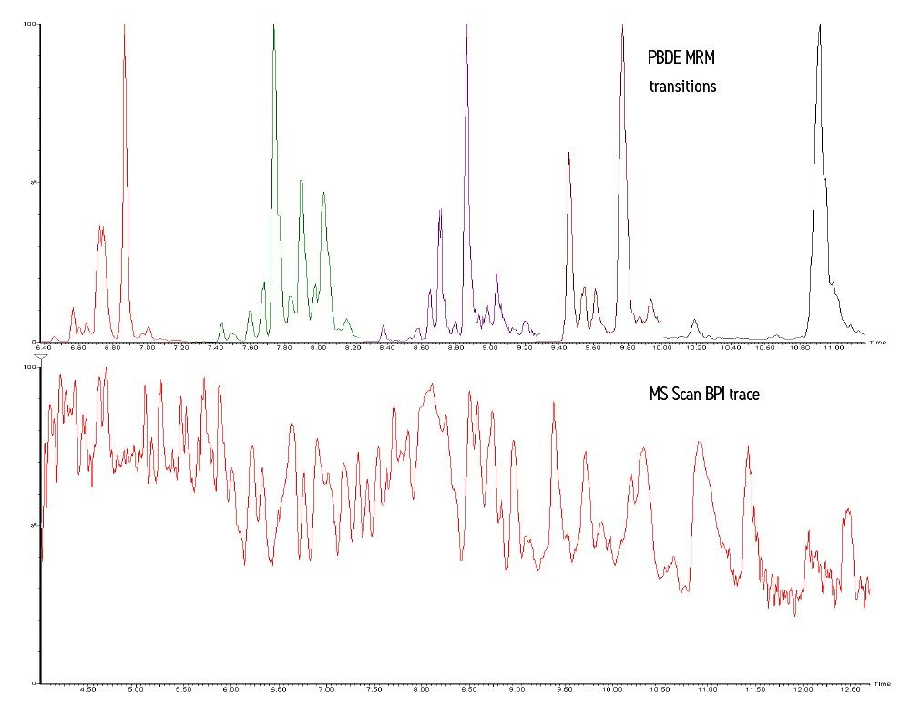 An overlaid trace of the MRM transitions