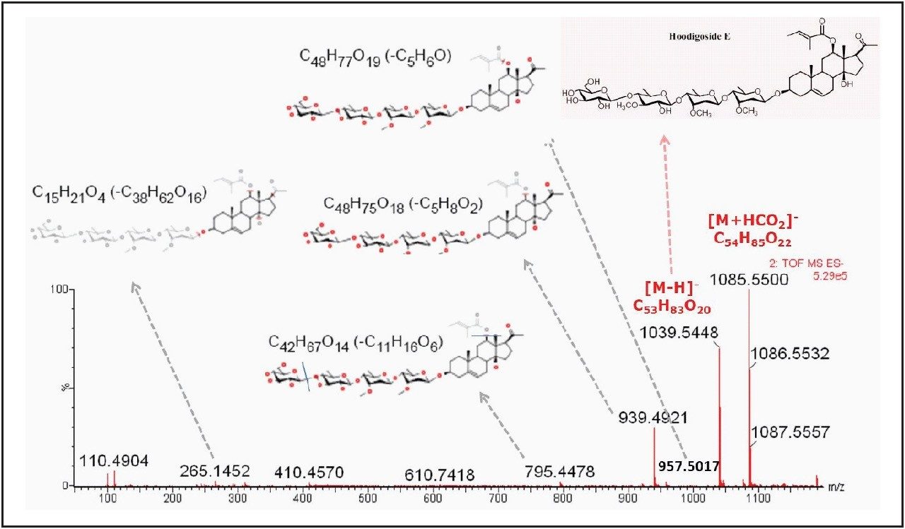 Structural characterization for Hoodigoside E.