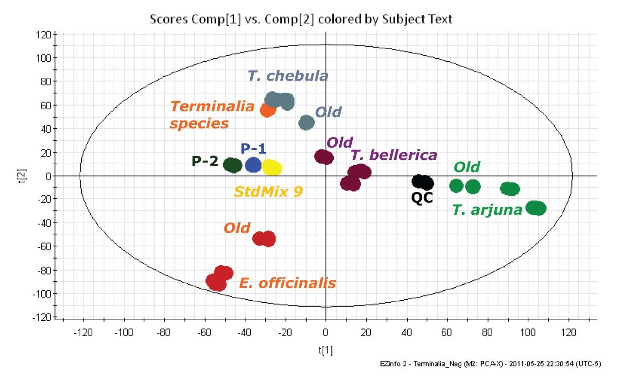The PCA scores plot 