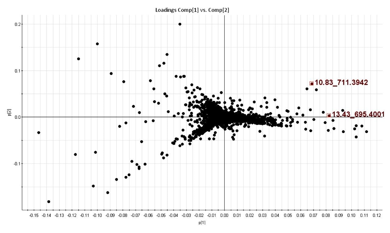 PCA loadings plot 