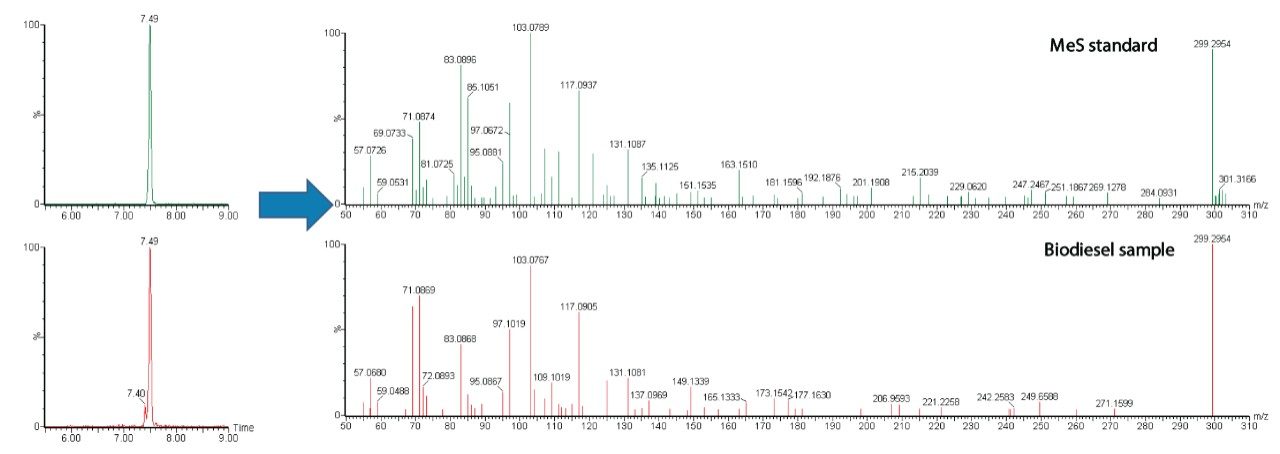  Extracted ion chromatogram