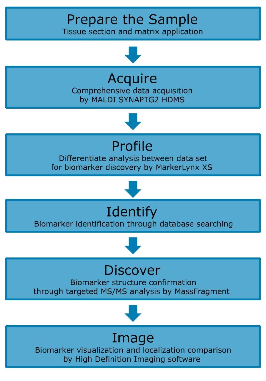 MALDI imaging bioanalysis workflow