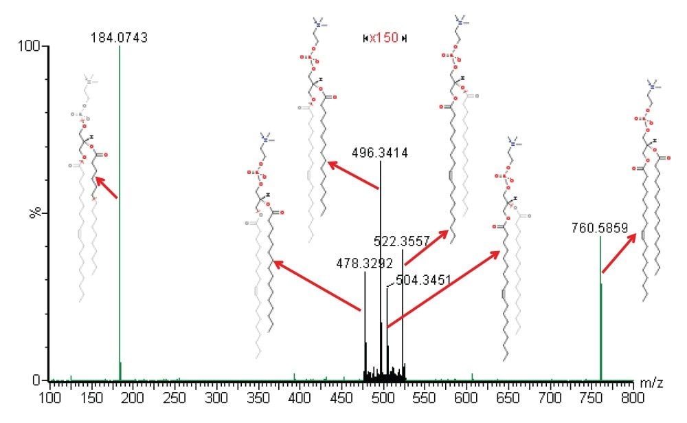  Biomarker structure confirmation