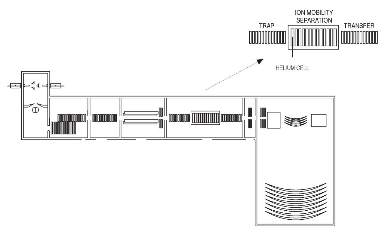 Schematic diagram of the SYNAPT G2-S