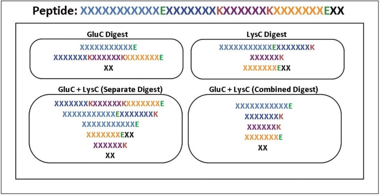 Multi-Enzyme Digestion for Biotherapeutic Peptide Mapping: Examining  BiopharmaLynx 1.3 Functionality | Waters