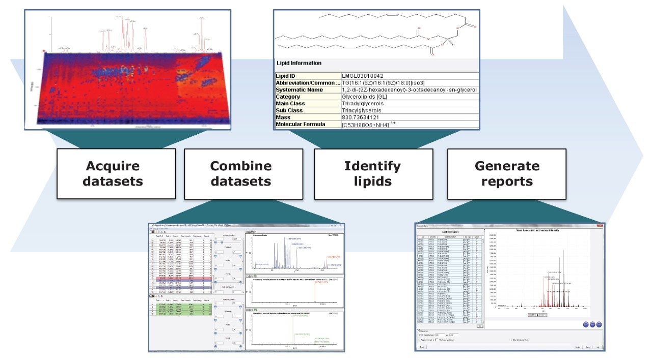 The Waters global lipid identification workflow