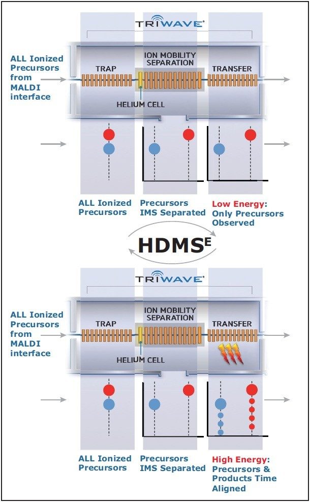 Schematic of a MALDI-HDMSE experiment
