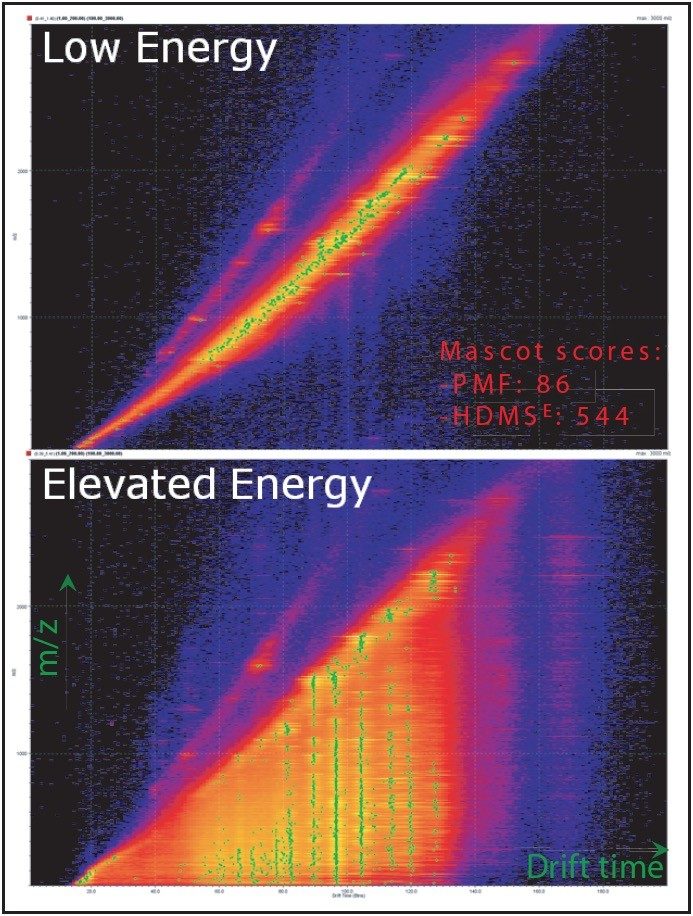 Display of the low and elevated energy MALDI-HDMSE functions 