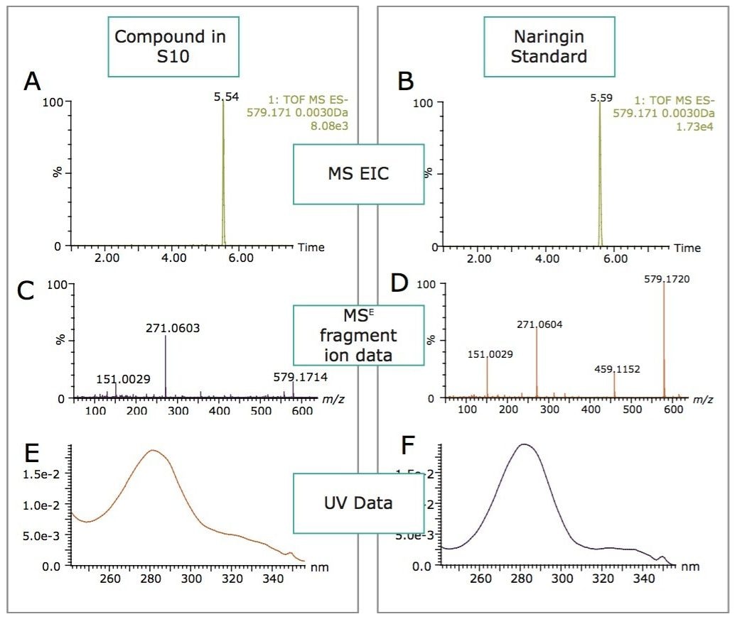 Extracted ion chromatogram of m/z 579.1713 in S10 (13A) and standard naringin (13B) with the MSE fragment data for S10 (13C) and standard naringin (13D). UV spectrum for component in S10 (13E) and standard naringin (13F).