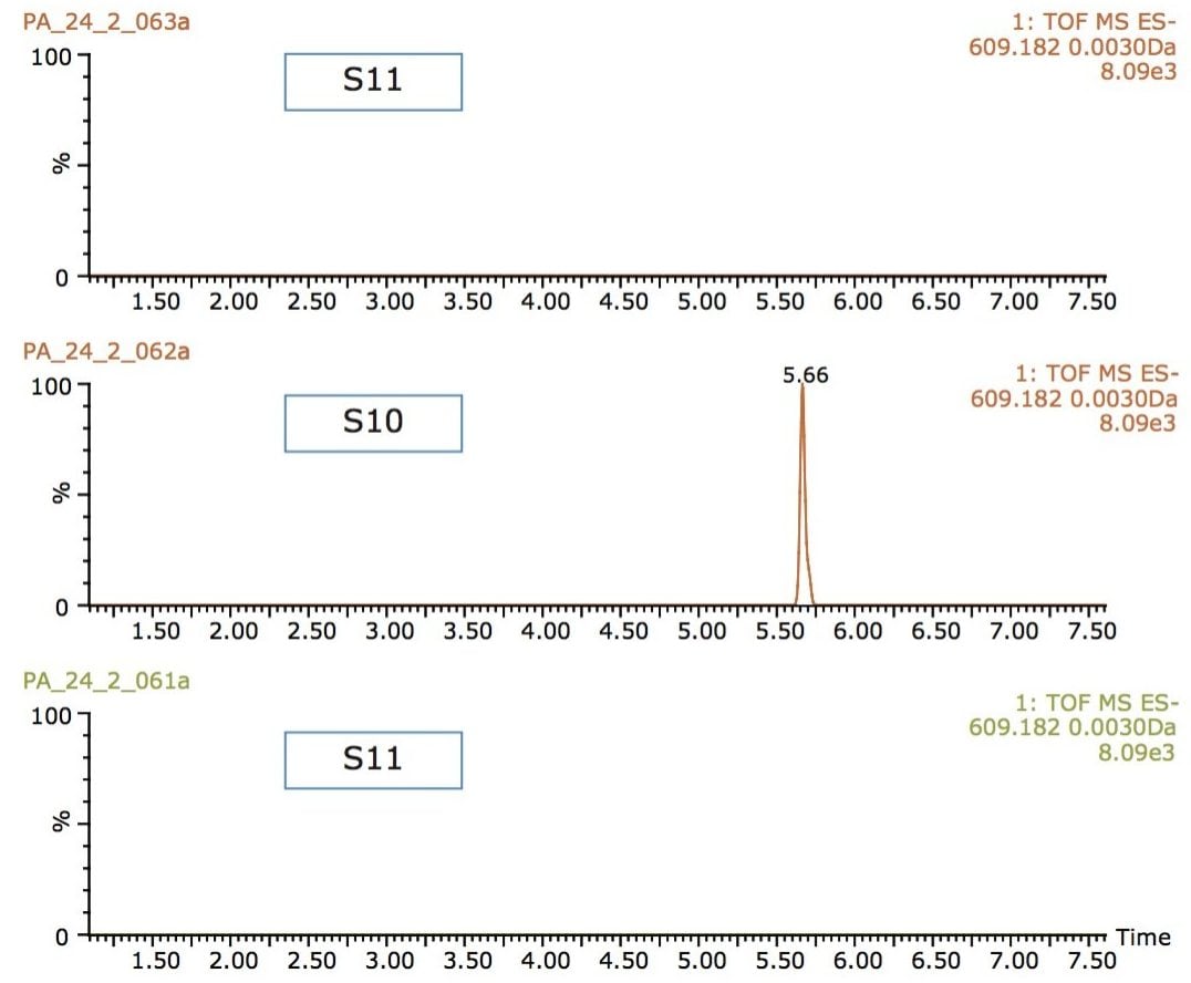 Extracted ion chromatograms (XIC) for m/z 609.1816 in S10, S11, and S12.