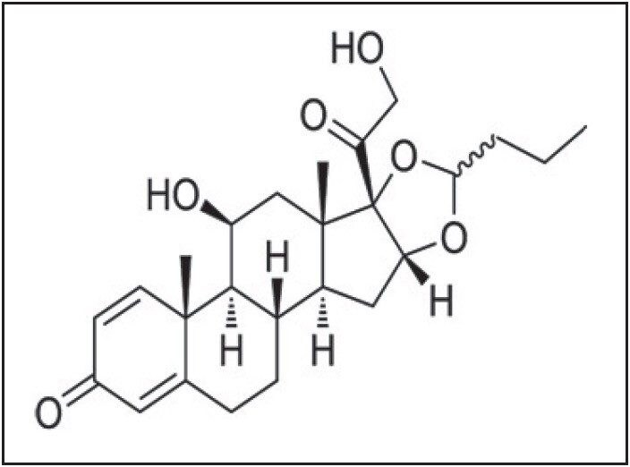 Molecular structure of Budesonide