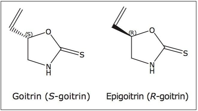  Chemical structures of goitrin