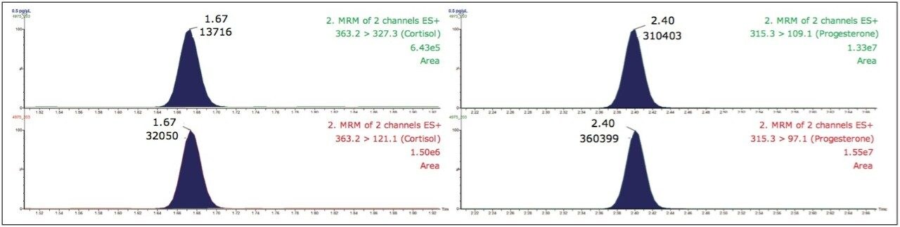  Chromatographic example for 0.5 pg/μL standard