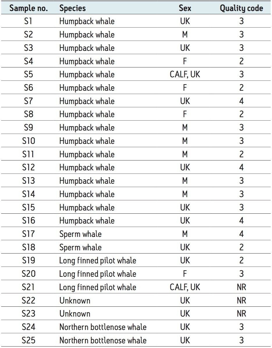 Whale species used during the experiments